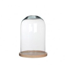 Cúpula o urna cristal con base de madera alt.30cm d.21,50cm
