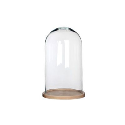 Cúpula o urna cristal con base de madera alt.37,5 cm d.23 cm