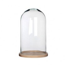 Cúpula o urna cristal con base de madera alt.37,5cm d.23cm