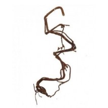 RAIZ COLGANTE MARRON