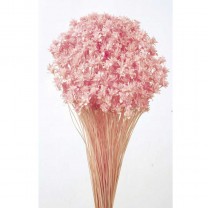 Hill flower seco 45cm 100gr rosa