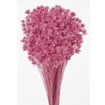 Hill flower seco 45cm 100gr rosa/malva