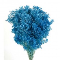 Brooms preservado 100gr 50cm azul cielo