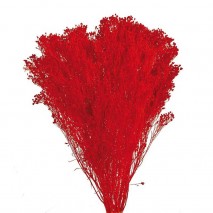 BROOMS PRESERVADO 100 GRS ROJO