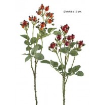 Semillas rosal 52cm rojo