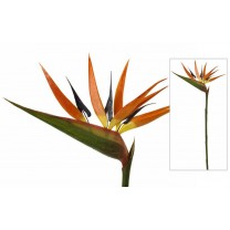 Strelitzia artificial 95cm