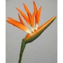 Strelitzia artificial 95cm