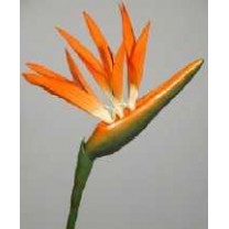 Strelitzia artificial 95cm