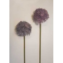 Allium artificial plástico  9cm x 60cm lila