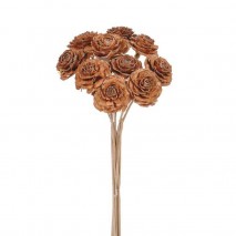 Cedar rose d.3-5cm 40cm 10 piezas natural