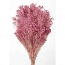 Brooms preservado 100gr. en malva-rosa