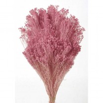 Brooms preservado 100gr 50cm malva/rosa