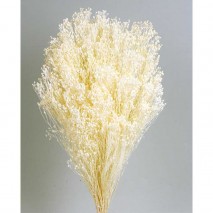 Brooms preservado 100gr. en blanco