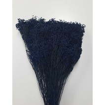 Brooms seco 100gr 50cm azul