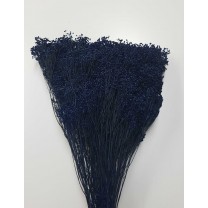 Brooms seco 100gr 50cm azul