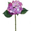 Hortensia x 1 super natural ira 50cm rosa +