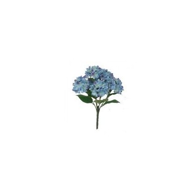 Mata hortensias x  7 f azulina