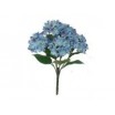 Mata hortensias x  7 f azulina