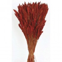 Spigadoro seco 100gr 50cm rojo lavado