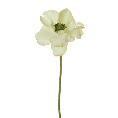Anemona 23cm blanca