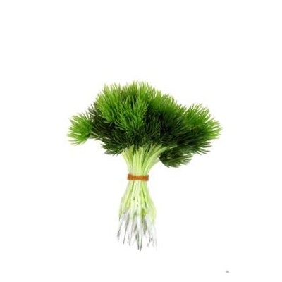 Pick plástico verde pino mini