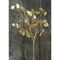lunaria 73 cm oro