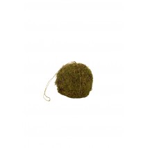 Macetero colgante bola de moss d.20cm c/peso