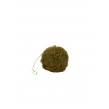 Macetero colgante bola de musgo d.20cm c/peso