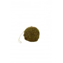 Macetero colgante bola de musgo d.20cm c/peso